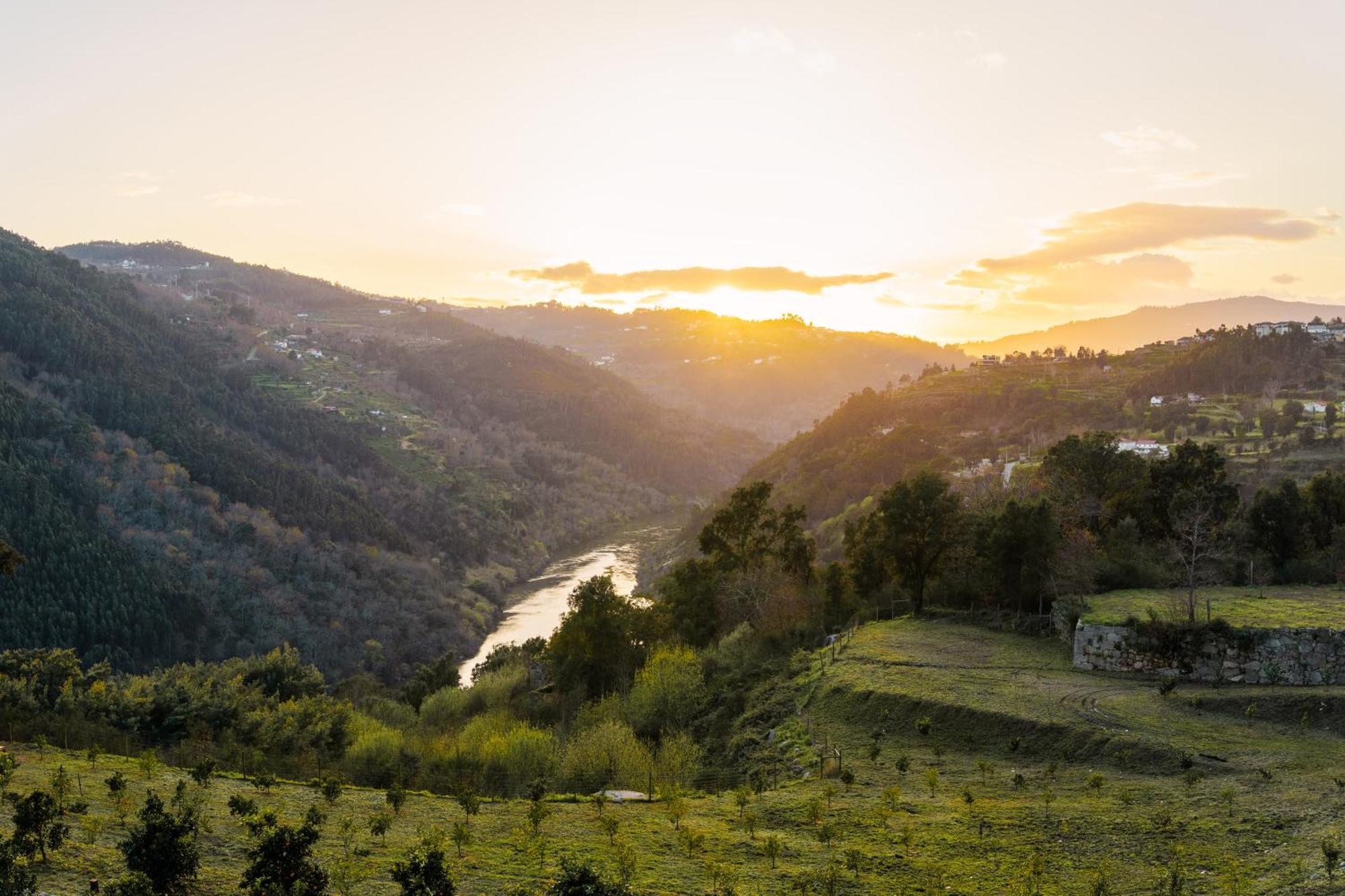 Javardo - Family House - Douro Penha Longa Екстер'єр фото